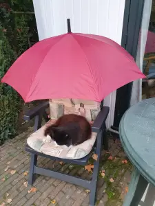 Annelies 05 Buitenpoes